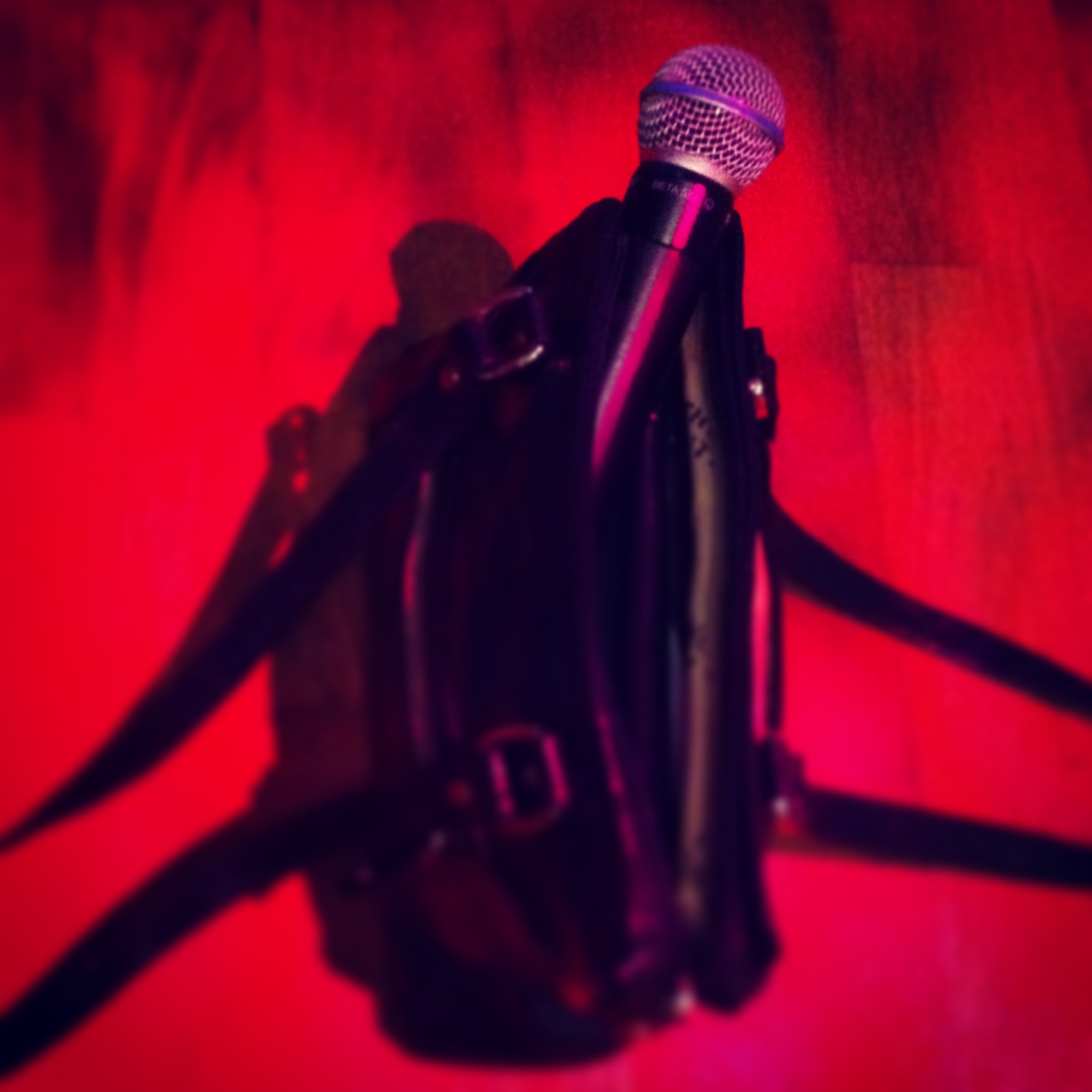 SEE-2013_moderatorsmik